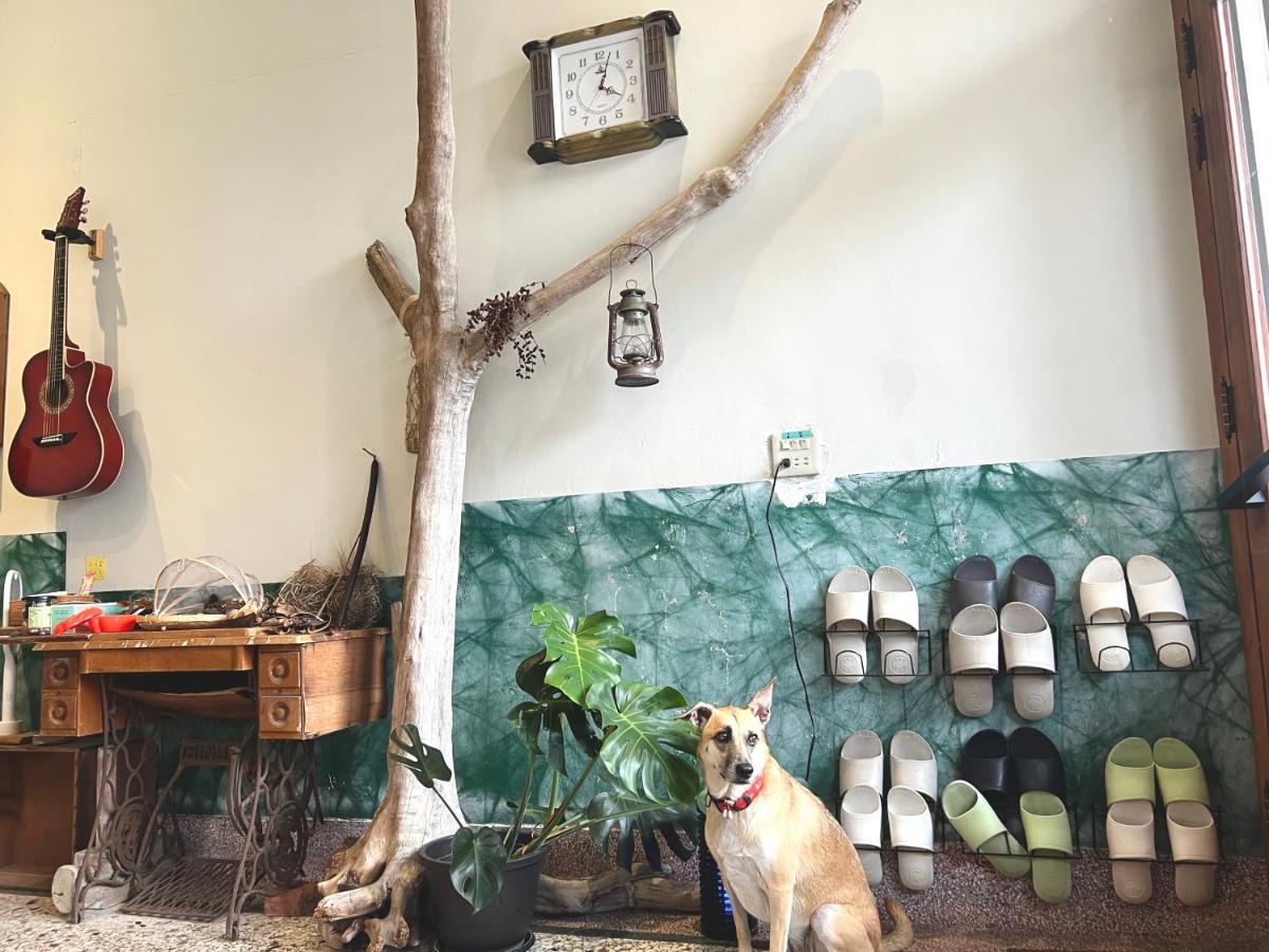 Swallows Hostel Đảo Tiểu Lưu Cầu Ngoại thất bức ảnh